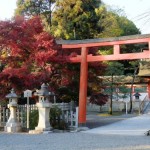 神道のお墓を建てるには。お墓の形や彫刻文字について