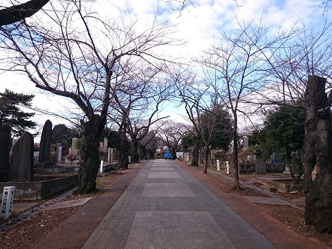 東京都 青山霊園で墓地の測量